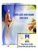 chiến lược kinh doanh công ty bảo hiểm vinare 2010-2015.pdf