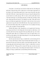 Một số giải pháp phát triển kinh doanh lữ hành ở Công ty cổ phần Dịch vụ du lịch đường sắt Hà Nội.docx