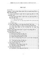 Hoạt động kinh doanh và quản lý hoạt động đầu tư của NH ĐTPT BN.DOC