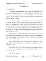 Tình hình sử dụng nguồn vốn tại công ty TNHH Nhựa Duy Tân.doc