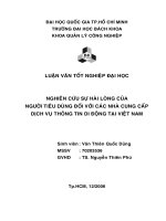 NGHIÊN CỨU SỰ HÀI LÒNG CỦA NGƯỜI TIÊU DÙNG ĐỐI VỚI CÁC NHÀ CUNG CẤP DỊCH VỤ THÔNG TIN DI ĐỘNG TẠI VIỆT NAM.doc