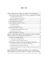 Nghiên cứu biện pháp giảm tỷ lệ sai hỏng trong sản xuất ở Công ty cổ phần giày Hải Dương.DOC