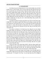 Bàn về chế độ tài chính và kế toán thu nhập và phân phối thu nhập hiện hành trong các doanh nghiệp ở Việt Nam.DOC