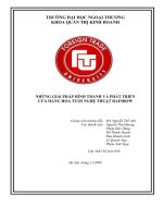 Những giải pháp hình thành và phát triển cửa hàng hoa tươi nghệ thuật rainbow.doc