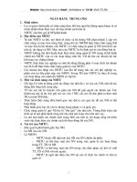 Ngân hàng Trung Ương.DOC