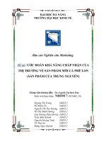 Báo cáo nghiên cứu marketing sản phẩm cà phê lon công ty Trung Nguyên.doc