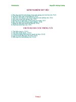 Kinh nghiem xin viec.doc