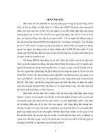 Giải pháp nâng cao Công tác thu, chi và quản lý quỹ BHXH tỉnh Sơn La.DOC