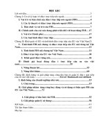 Thu hút FDI từ EU vào Việt Nam.doc