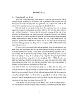 Phát triển mạng lưới khách hàng Doanh nghiệp lớn tại chi nhánh Ngân hàng công thương Hoàn Kiếm.DOC