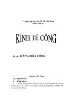 Tiểu luận môn kinh tế công hàng hóa công.doc