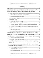 Một số giải pháp phòng ngừa và hạn chế rủi ro tín dụng tại  Ngân hàng Kỹ thương Việt Nam Techcombank.DOC