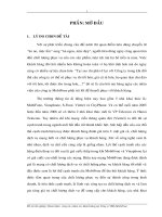 Hoàn thiện công tác chăm sóc khách hàng tại Công ty VMS-MobiFone.pdf