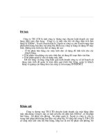 Khảo sát Công ty thương mại TH LTD chuyên kinh doanh các mặt hàng điện máy dân dụng.doc.DOC