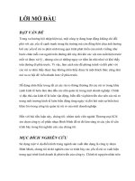 Quản Tri Rủi Ro Kinh Tế.doc