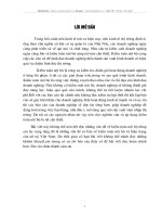 QUÁ TRÌNH PHÁT TRIỂN VÀ CHỨC NĂNG CỦA KIỂM TOÁN NỘI BỘ.DOC