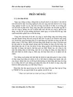 Phân tích tình hình tài chính tại Công ty TNHH Trí Tín.doc