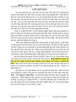 Hoàn thiện kế toán vật liệu với việc nâng cao hiệu quả sử dụng vốn lưu động  tại Công ty cổ phần Hà Đô 1.DOC