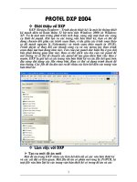 Giới thiệu về DXP .doc.DOC