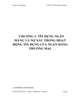 TÍN DỤNG NGÂN HÀNG VÀ NỢ XẤU TRONG HOẠT ĐỘNG TÍN DỤNG CỦA NGÂN HÀNG THƯƠNG MẠI.doc