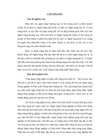 Giải pháp truyền thông cổ động cho thẻ Success của Ngân hàng Nông nghiệp và Phát triển Nông thôn Việt Nam trên địa bàn thành phố Đà Nẵng.doc