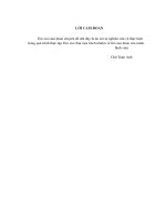 THựC TRạNG HOạT ĐộNG TƯ VấN Cổ PHầN  HOá  CủA CÔNG TY CHứNG KHOáN phỐ wall.DOC