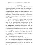 Vốn kinh doanh và giải pháp nâng cao hiệu quả sử dụng vốn tại Công ty Điện lực 1 Điện lực Hưng yên.DOC