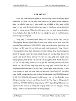 Áp dụng hệ thống quản lý chất lượng ISO 90012000 tại Tổng công ty CNTT Bạch Đằng.DOC