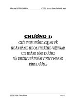 GIỚI THIỆU TỔNG QUAN VỀ NGÂN HÀNG NGOẠI THƯƠNG VIỆT NAM CHI NHÁNH BÌNH DƯƠNG.doc