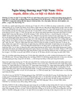 Ngân hàng thương mại Việt Nam Điểm mạnh, điểm yếu, cơ hội  thách thức.doc