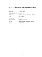 Khái quát Công ty Bất động sản Hùng Thịnh Vượng.DOC