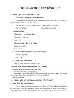 Báo cáo tổng hợp công ty TNHH Hợp Hưng.DOC