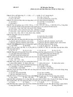 Đề hóa ban Xã Hội Nhân văn