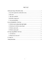 Các chế độ BHXH dài hạn ở Việt Nam.DOC