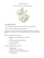 MỘT SỐ CÂU HỎI Phục vụ cho thi tuyển vào Ngân hàng thương mại).doc