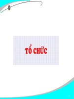 Tổ chức trong quản trị