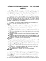 Chiến lược của doanh nghiệp Dệt - May Việt Nam năm 2011.doc