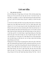 Hoàn thiện hoạt động thanh toán quốc tế theo phương thức tín dụng chứng từ tại Sở giao dịch Ngân hàng Ngoại thương.docx