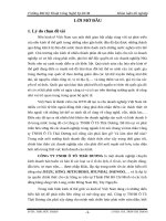 CHIẾN LƯỢC PHÁT TRIỂN KINH DOANH TẠI CÔNG TY TNHH Ô TÔ THÁI DƯƠNG ĐẾN NĂM 2015.doc