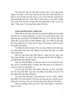 báo cáo tổng hợp những hiểu biết cơ bản nhất về Tổng công ty và các đơn vị thành viên, trong đó đI sâu hơn về Trung tâm Xuất nhập khẩu và Dịch vụ vật tư kỹ thuật - Tổng công ty Xây dựng Công nghi.DOC