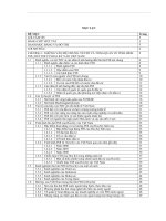 THỰC TRẠNG THU HÚT FDI TỪ HOA KỲ VÀO TỈNH HÀ TÂY TRONG ĐIỀU KIỆN HỘI NHẬP KINH TẾ QUỐC TẾ.DOC