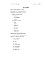 Tại tại công ty bánh kẹo Hải Châu.doc