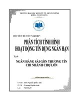 PHÂN TÍCH TÌNH HÌNH HOẠT ĐỘNG TÍN DỤNG NGẮN HẠN.DOC