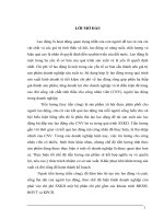 Hoàn thiện kế toán tiền lương và các khoản trích theo lương tại Công ty CP SX&TM Nguyễn.DOC