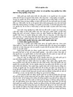 Phát triển nguồn nhân lực phục vụ sự nghiệp công nghiệp, hiện đại hóa nông thôn.pdf