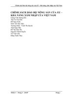 CHÍNH SÁCH BẢO HỘ NÔNG SẢN CỦA EU - KHẢ NĂNG XÂM NHẬP CỦA VIỆT NAM.doc