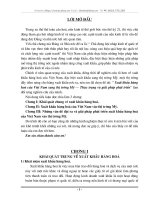 Xuất khẩu hàng hoá của Việt Nam sang thị trường Mỹ – Thực trạng và giải pháp phát triển.DOC