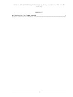 Kế toán tiêu thụ và xác định kết quả tiêu thụ hàng hoá tại Công ty cổ phần thương mại Lạng Sơn.pdf