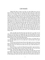 Tổng quan về ngân sách nhà nước và những tác động vĩ mô nền kinh tế thị trường của ngân sách nhà nước.DOC