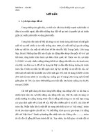 Vị thế đồng USD qua các giai đoạn. Tác động đối với Việt Nam.pdf